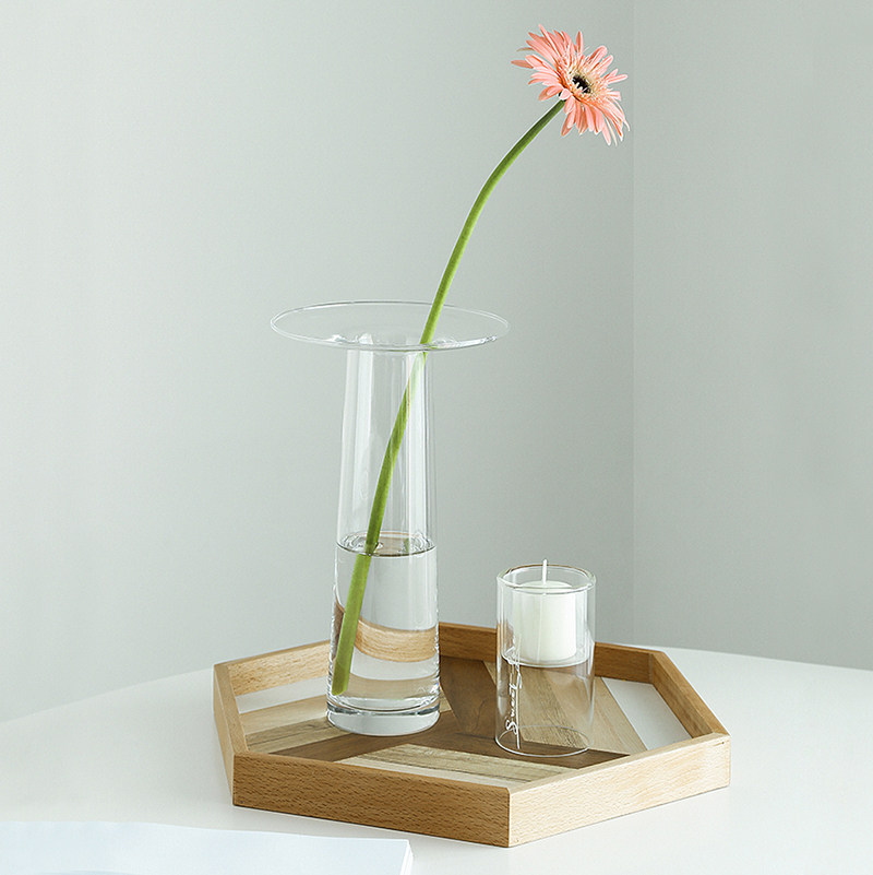 LIVETAI Transparent T-Shape Hy - Propagation Station Vase 评论和价格