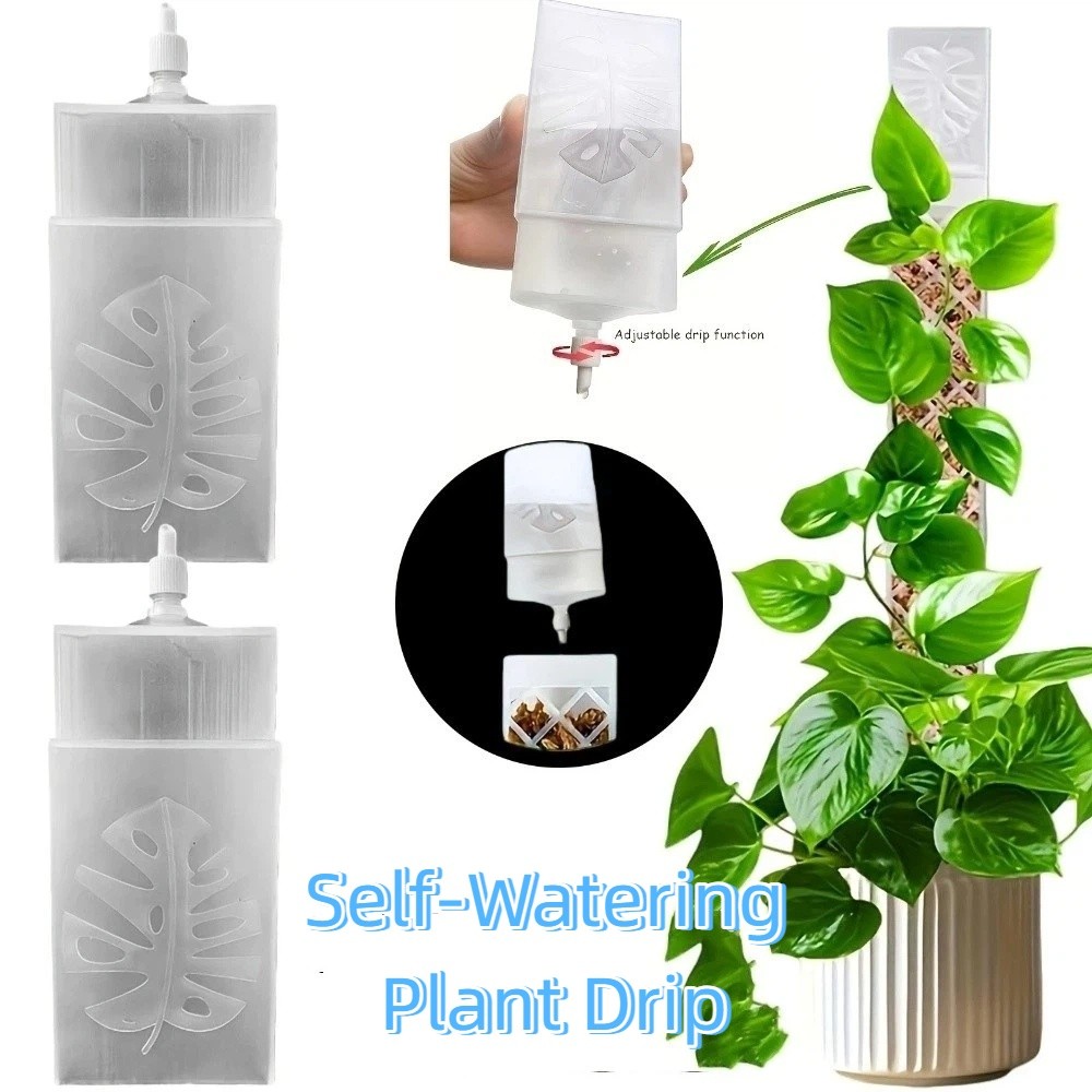 D-Shaped Self-Watering Plant D - Sphagnum Moss Dry 评论和价格