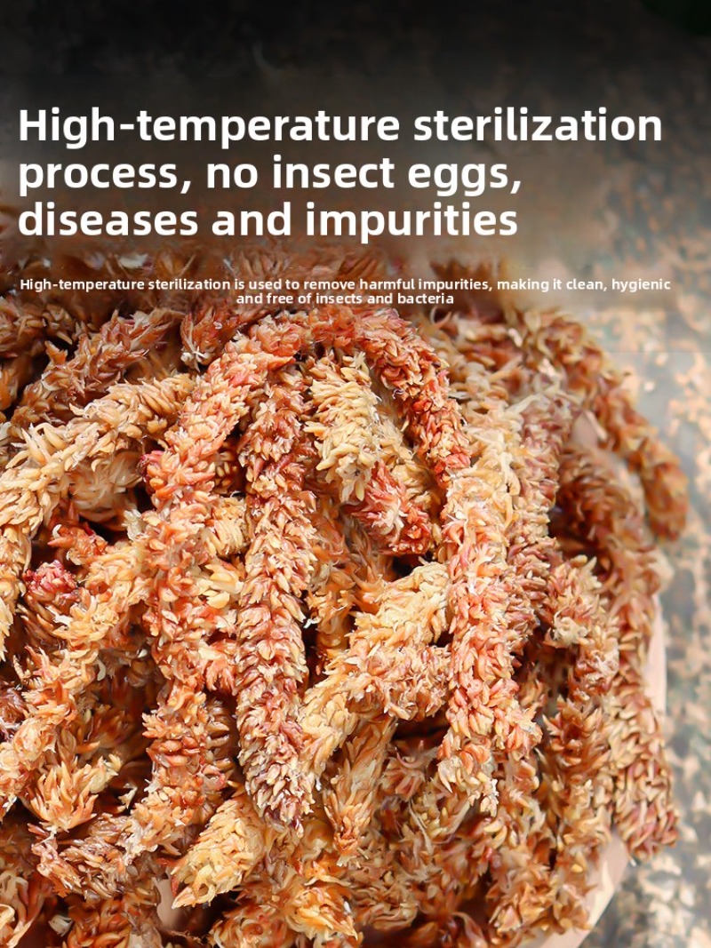 Chilean Sphagnum Moss 100g 200 - Sphagnum Moss Dry 评论和价格