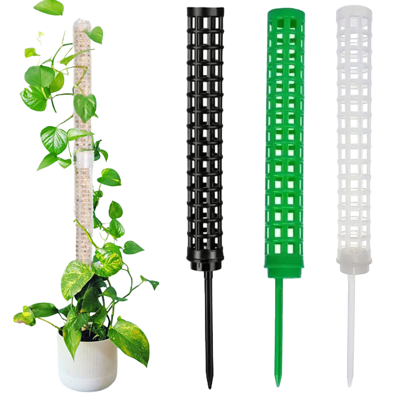 Plant Climbing Column Sphagnum - Sphagnum Moss Dry 评论和价格